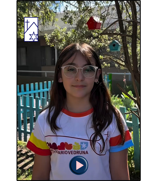 Ver Video