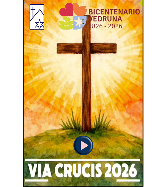 Ver Video